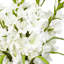 Pièce maîtresse en vase