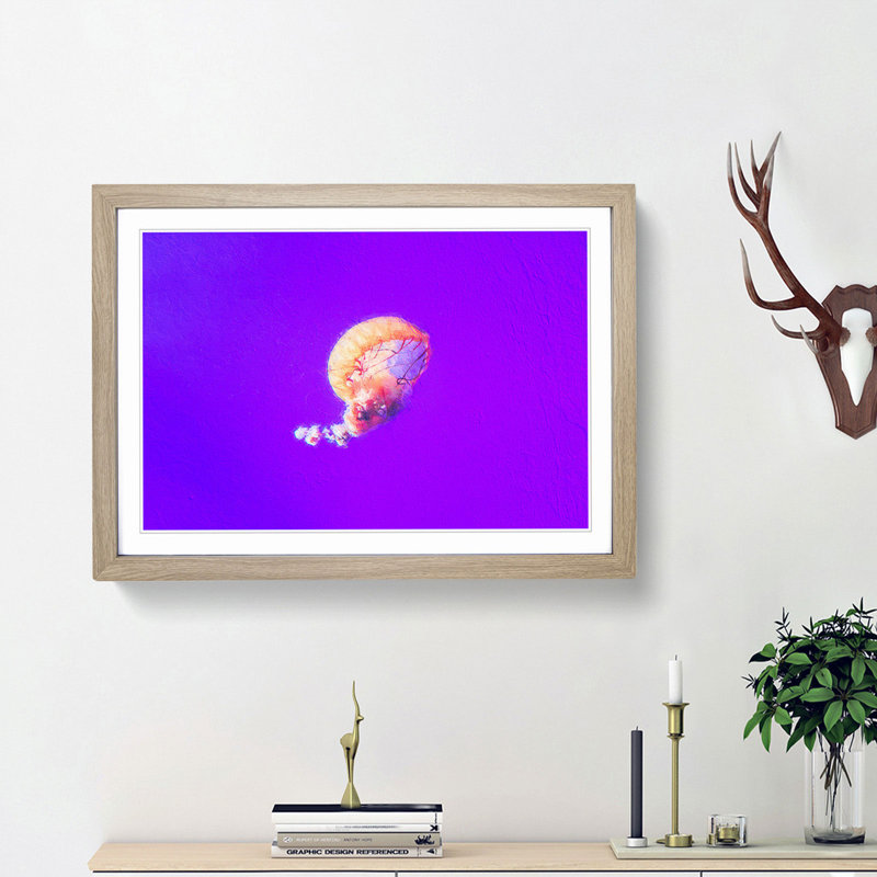 Jellyfish - Picture Frame Graphic Art Print, 48cm H x 65cm W x 2cm D, Oak Framed