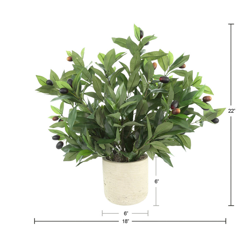 Faux Olive Tree Plant in Fiberstone Pot