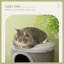 70cm H Cat Tree