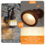 Samav 20cm H Outdoor Barn Light with Dusk to Dawn-855288900