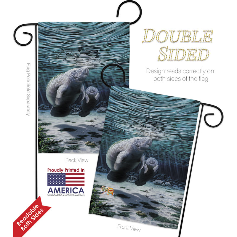 Double Sided 18.5'' H x 13'' W Polyester Flag Set