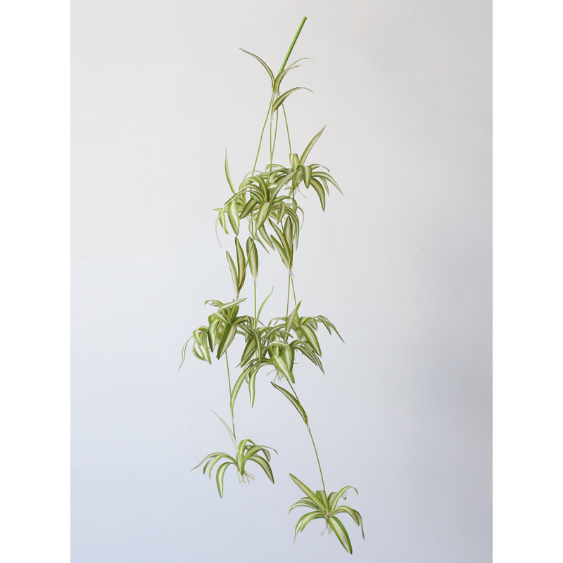 Vaporisateur de plante araignée suspendue - 31,5 po, [A] 1 tige, Rose
