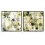 Plympton - Ensemble de 2 collages carrés botaniques abstraits-101864906-101864908