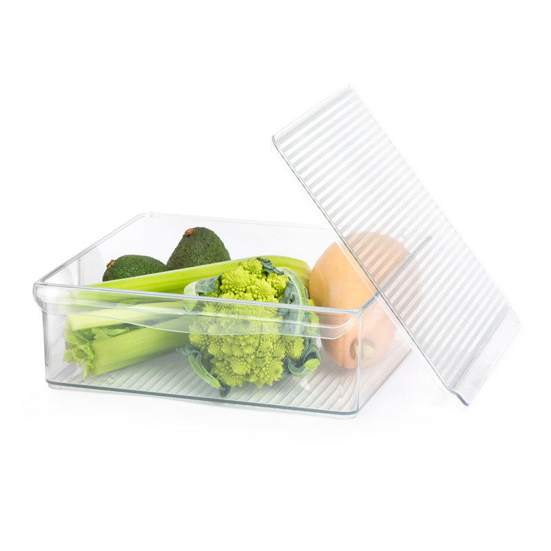 Belfry Kitchen Plastic Decorative Bin, 10cm H x 30.50cm W x 30cm D