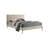 Upholstered Platform Bed-1797476347