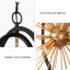 Kaylaa 6 - Light Sputnik/Cage Dining Room Chandelier