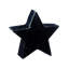 Presse-papier Emmalea Star