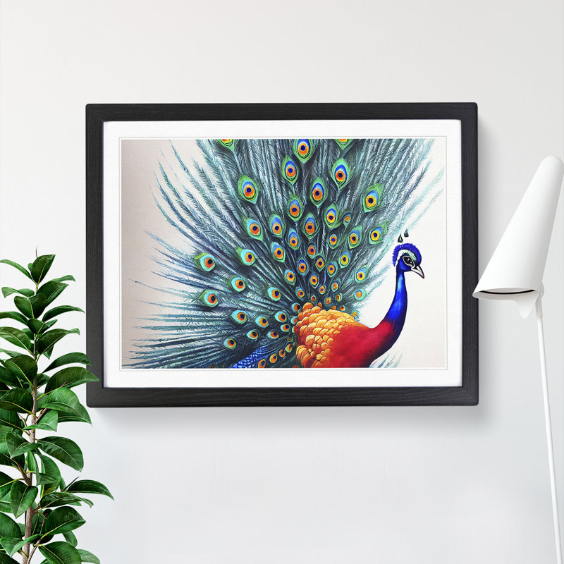 Watercolour Peacock Art - Single Picture Frame Painting, 46cm H x 64cm W x 2cm D, Black