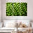 Yarlin Peas-108034050