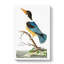 Blue Kingfisher by George Shaw - Wrapped Canvas-55304102