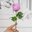 40 véritables fleurs 20,5 po-1096546606