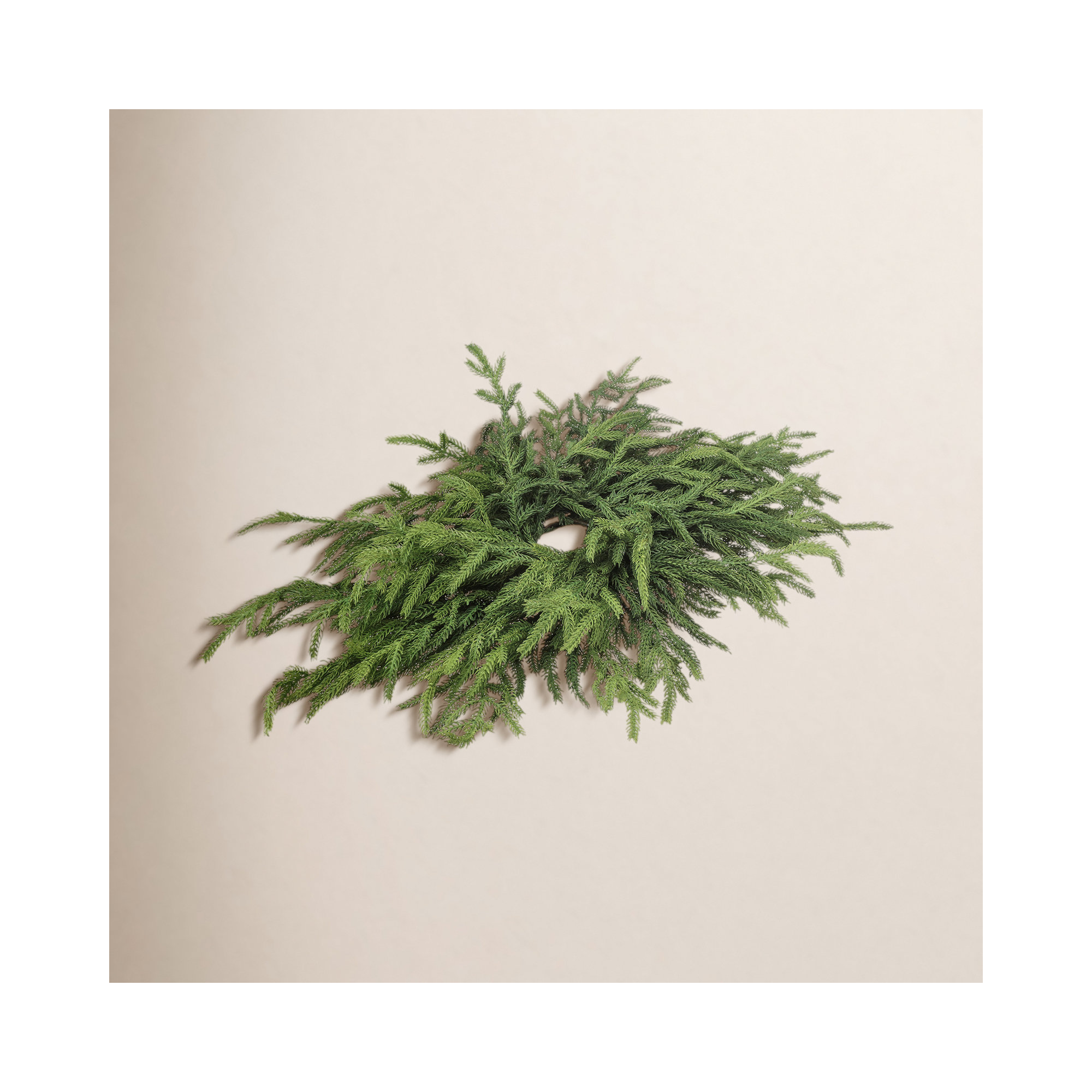 24" Just Cut Norfolk Pine Centerpiece by Valerie