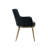 Beatriz 19.5'' H Upholstered Armchair - Black-274232301-274232300