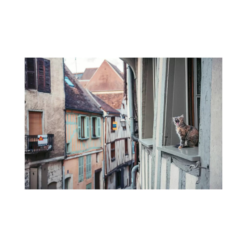 Territory by Timothy Entropy - Print on Canvas, Wrapped Canvas, 20.32cm H x 30.48cm W x 1.91cm D