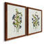 Pressed June Arrangement I - Ensemble de 2 peintures sur toile encadrées-1595542982-1595542983