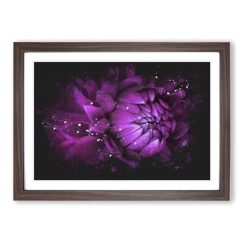 Purple Flower Vol.1 - Single Picture Frame Print on Wood, 36cm H x 48cm W x 2cm D, Walnut Framed