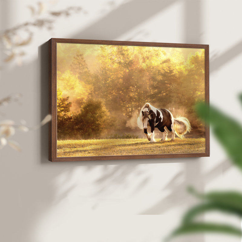 Horse Motion III -Framed Print - Restickable, H 11 po x l 14 po, Noyer