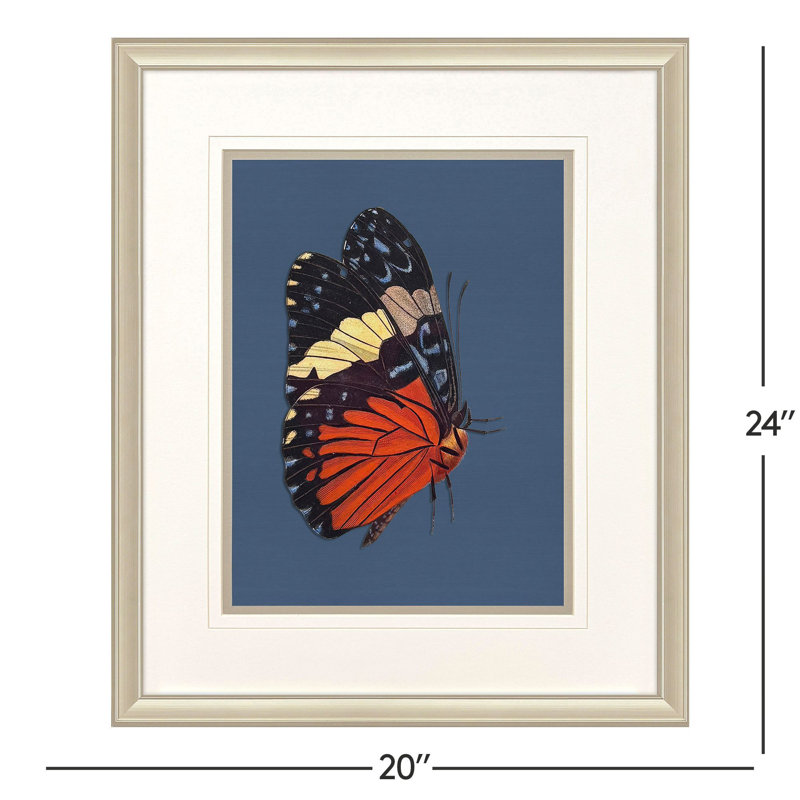 «Color Flutters», art encadré