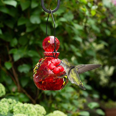 Mangeoire à colibri globe