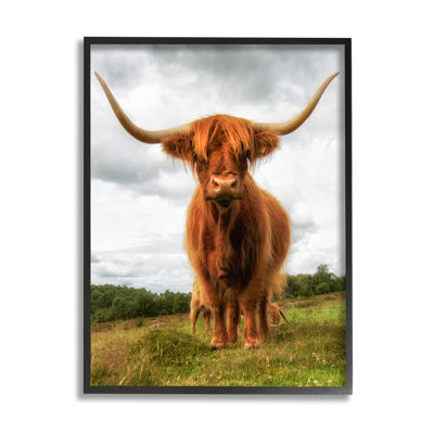 Stupell Industries Highland Cattle Long Horns Grazing Farm Ranch By James Dobson - Floater Frame Photograph On Canvas In Midnight Black Framed Giclee