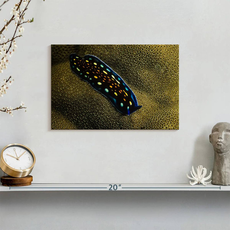 Linda's Flatworm, 8" H x 12" W