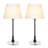 Briggsiii Acrylic Table Lamp