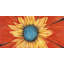 Flower Middle Print On Canvas-98694320