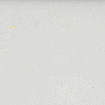 Segment 3 in. x 6 in. Glossy Ceramic Bullnose Tile Trim, Blanc