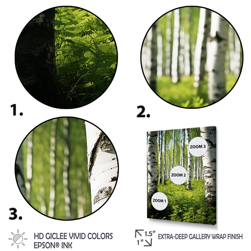 Décoration de mur blanc et vert bouleau II - paysage et nature, Cadre photo argenté, H 44 po x l 34 po x P 1,5 po