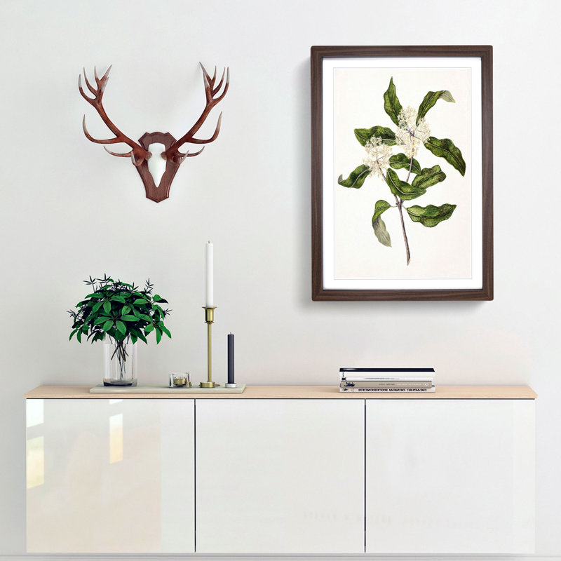 Tarata Flowers by Sarah Featon - Picture Frame Painting Print, 36cm H x 27cm W x 2cm D, Walnut Framed