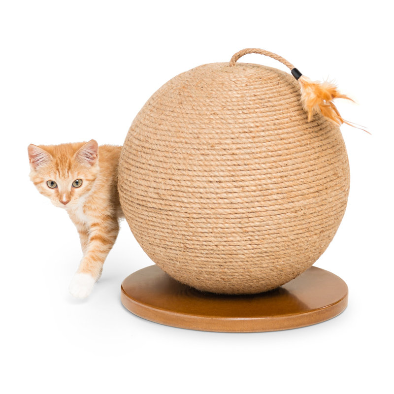 Borrego Scratching Sphere