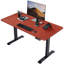 Mallus 120CM x 60CM Electric Height Adjustable Standing Desk-1965872727-1903795302
