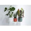 B.For Pot Planter-70004572-70004575