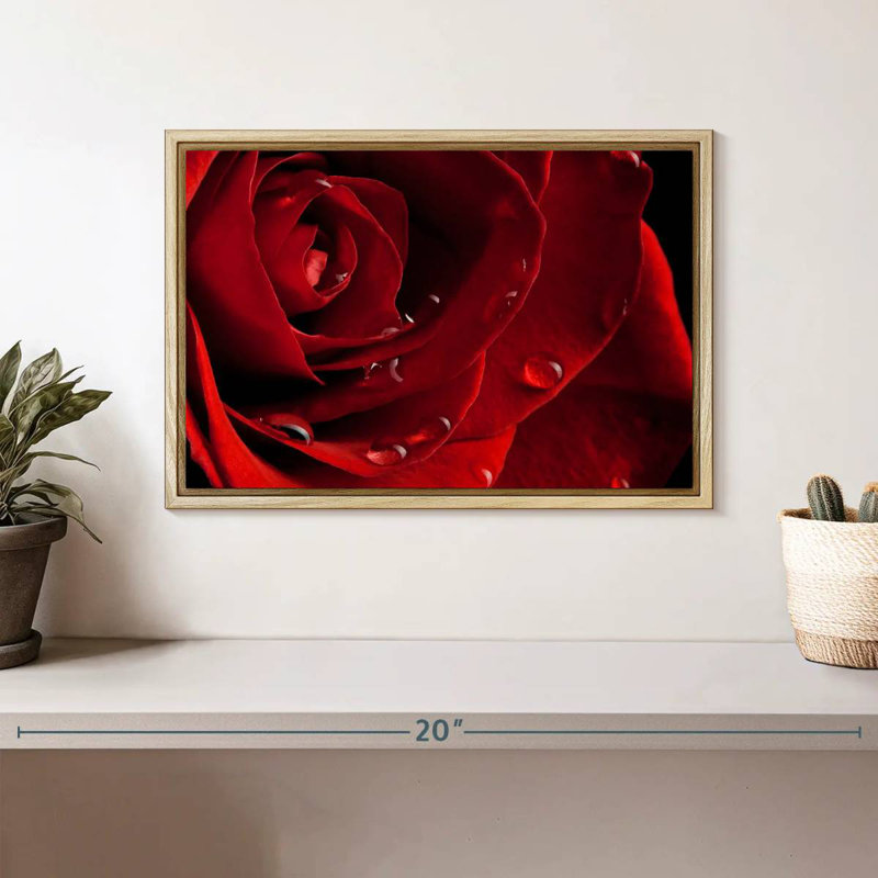 Rose rouge fraîche, Cadre flottant en bois naturel, 13 po x 9 po