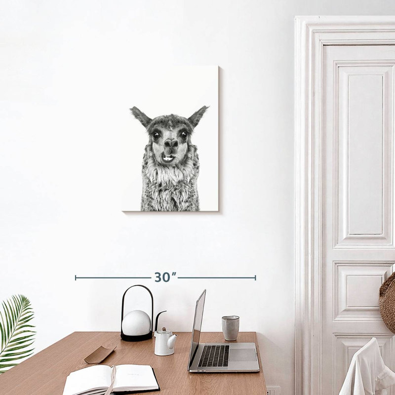Brampt Happy Alpaca en noir et blanc, H 24 po x l 16 po