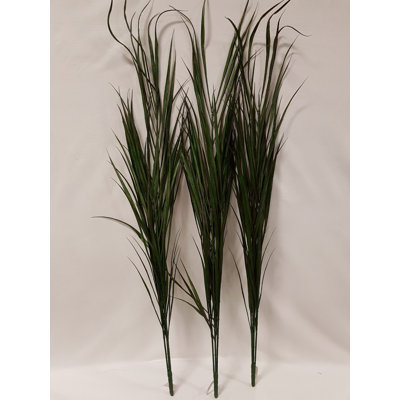 Herbe
