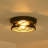 10.7 In. Farmhouse Black Flush Mount Ceiling Light Fixture with Turnable Light Cap (2-Pack)-115664305