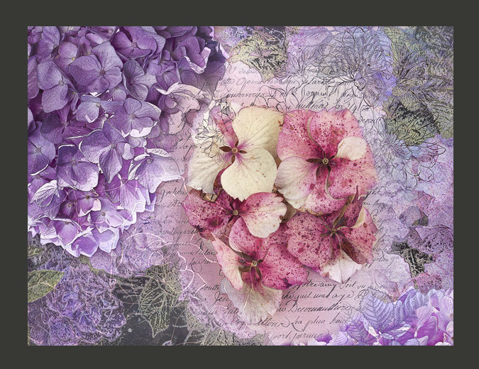 Memoir 309cm x 400cm Wallpaper, 400 cm x 309 cm