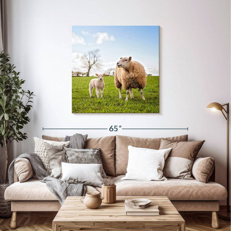 Mouton et agneau