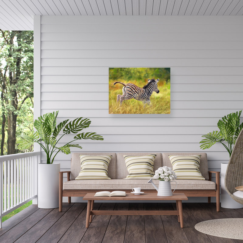 Toile extérieure David Stribble Young Zebra, H 18 po x l 24 po