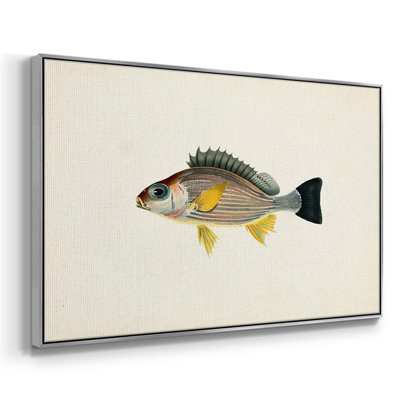 " Tropical Fish Collection III ", 27" H x 41" W x 2" D, Silver Framed