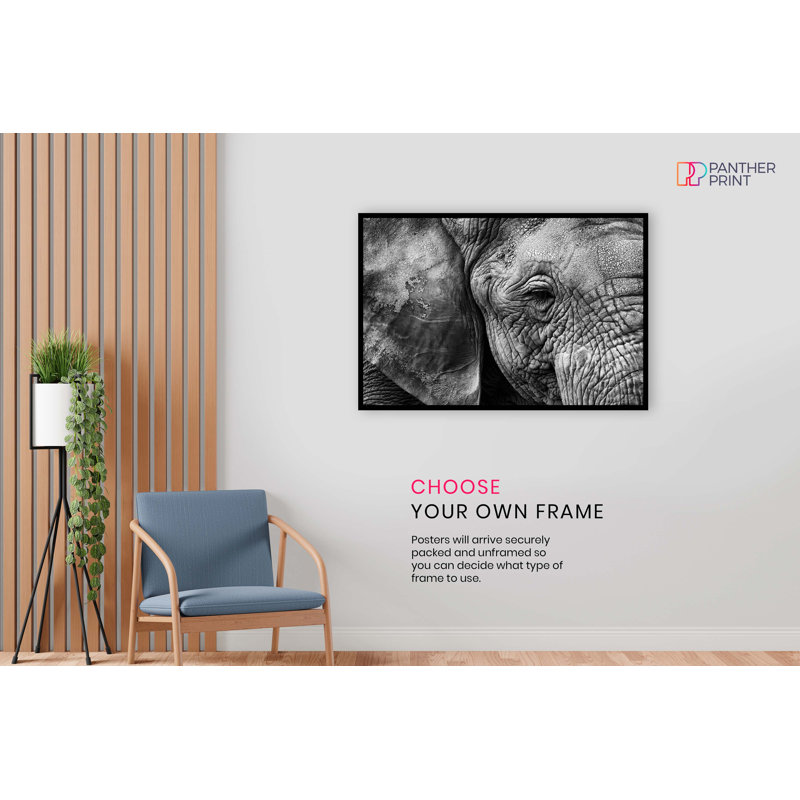 Old Elephant Close Up - No Frame Print, 41cm H x 61cm W x 0.5cm D