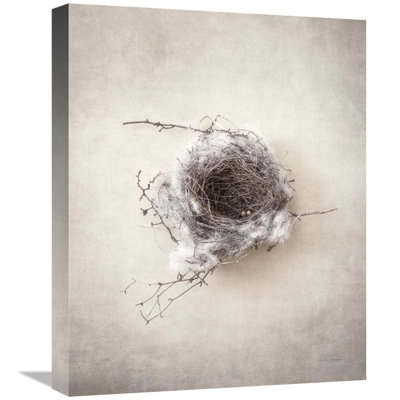 " Nest III " by Debra Van Swearingen