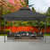 MASTERCANOPY Steel Patio Gazebo