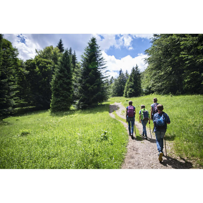 Randonnée familiale dans la forêt de montagne Beuatiful par Imgorthand, H 24 po x l 36 po