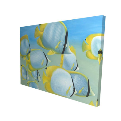 Butterfly Fishes Canvas - Exotic Aquatic Home Decor Art