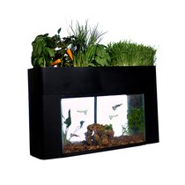 Tucker Murphy Pet Persinger 10 Gallon Barn Aquarium Tank Cover