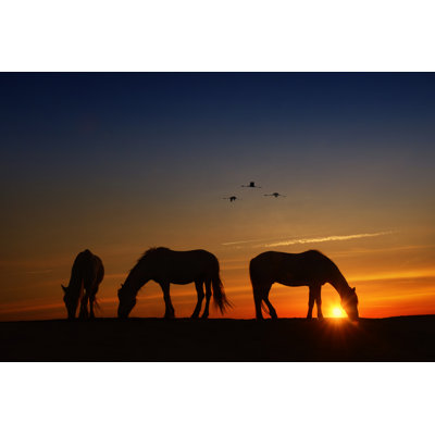 Fly Over - Photograph