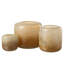 Aaira Glass Table Vase 1-1328602572